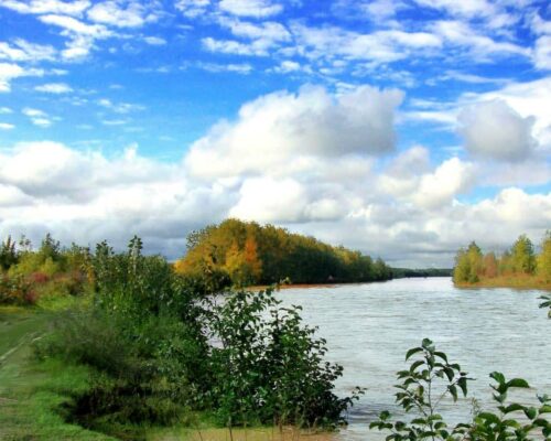 جاذبه های گردشگری کیاشهر