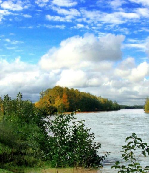 جاذبه های گردشگری کیاشهر